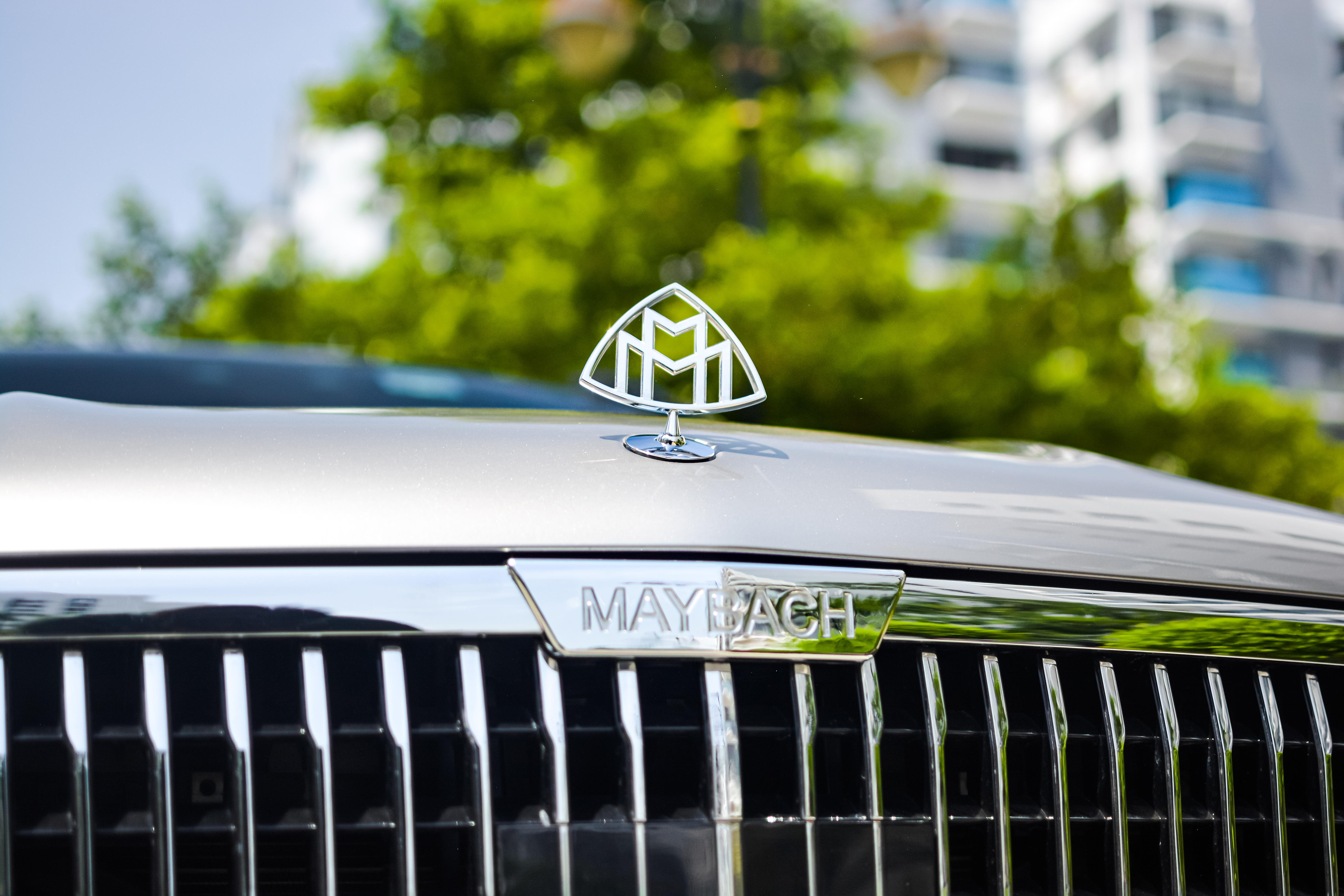 Gallery — Mercedes-Benz GLS 450 Maybach Conversion