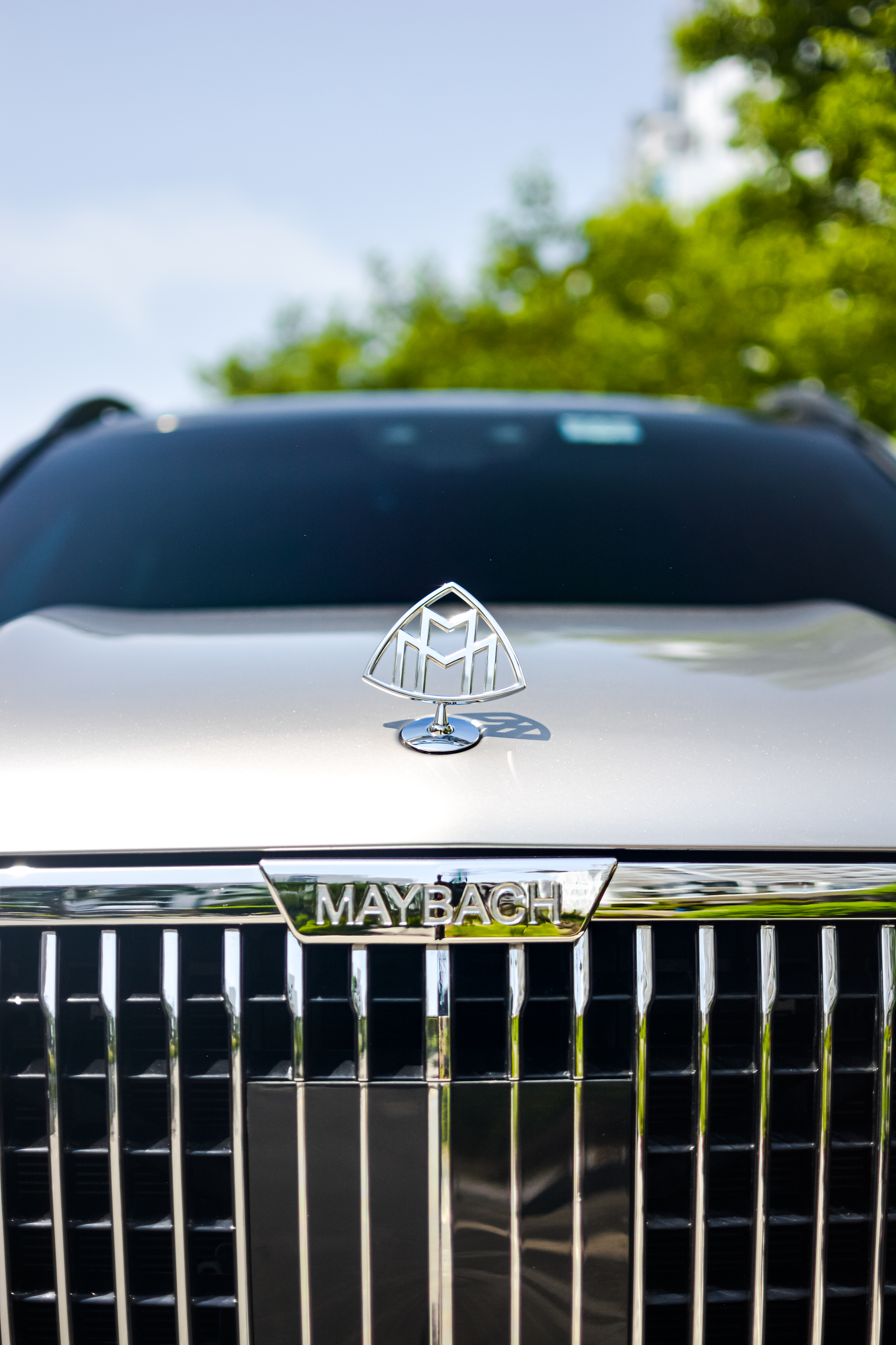 Gallery — Mercedes-Benz GLS 450 Maybach Conversion